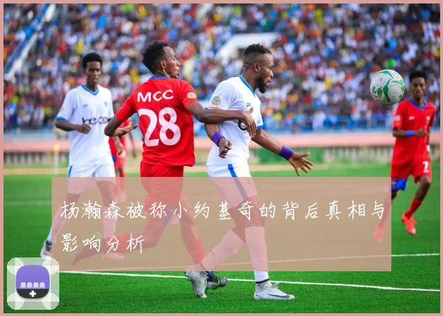 杨瀚森被称小约基奇的背后真相与影响分析